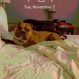 Meet your Posher, Phillip